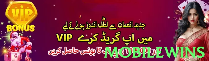 mobilewins Pakistan - 3